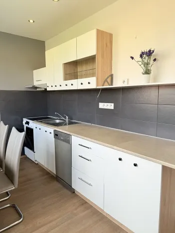 Pronájem bytu 2+1, Liberec, Aloisina výšina, 54 m2