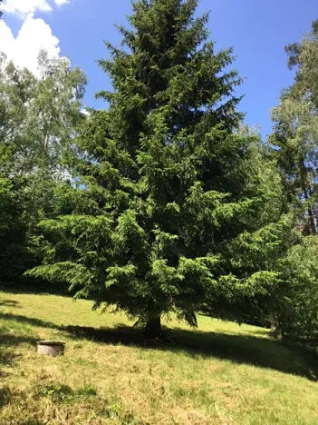 Prodej chaty, Žďárec, 65 m2