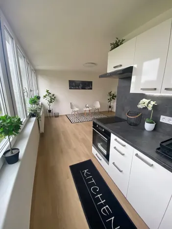 Prodej bytu 1+kk, Praha - Karlín, Nekvasilova, 30 m2