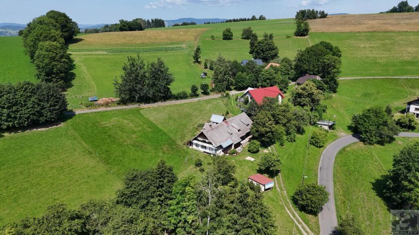 Prodej pozemku, Jestřabí v Krkonoších, 959 m2