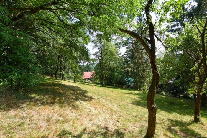 Prodej zahrady, Stříbrná Skalice, osada Spálený, 1015 m2