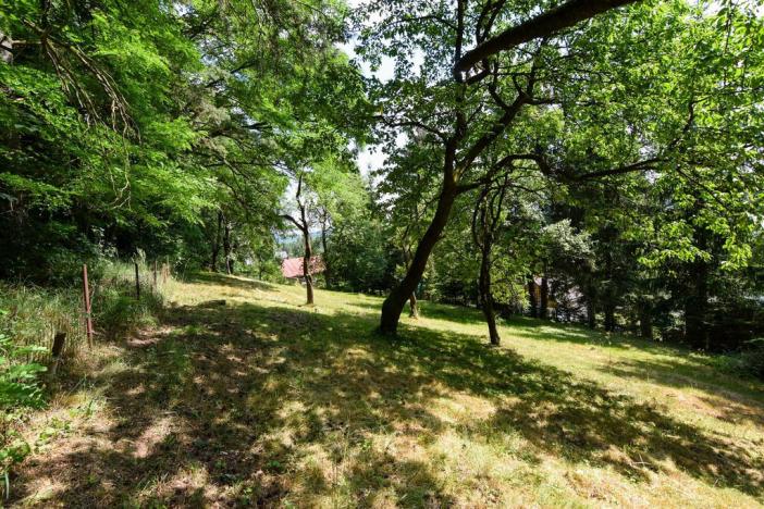 Prodej zahrady, Stříbrná Skalice, osada Spálený, 1015 m2