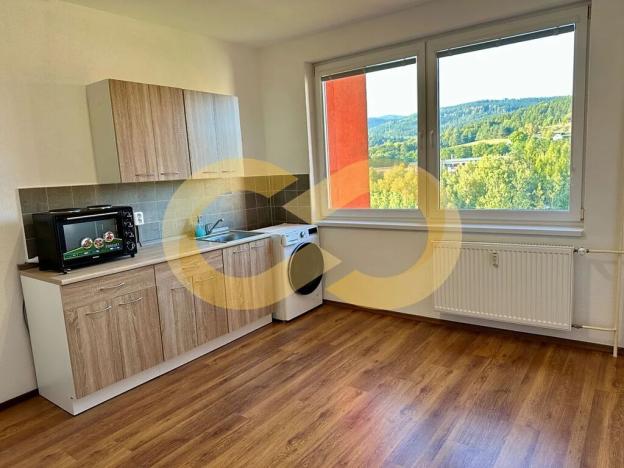 Pronájem bytu 1+kk, Český Krumlov, Urbinská, 18 m2