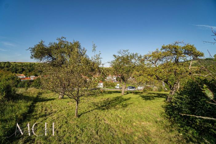 Prodej pozemku, Pitín, 1356 m2