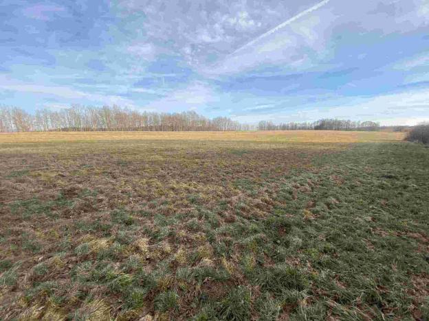 Prodej pozemku, Trstěnice, 1109 m2