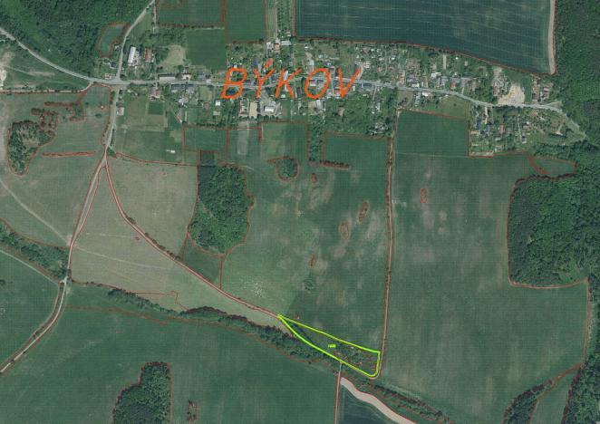 Prodej pozemku, Býkov-Láryšov - Býkov, 10215 m2