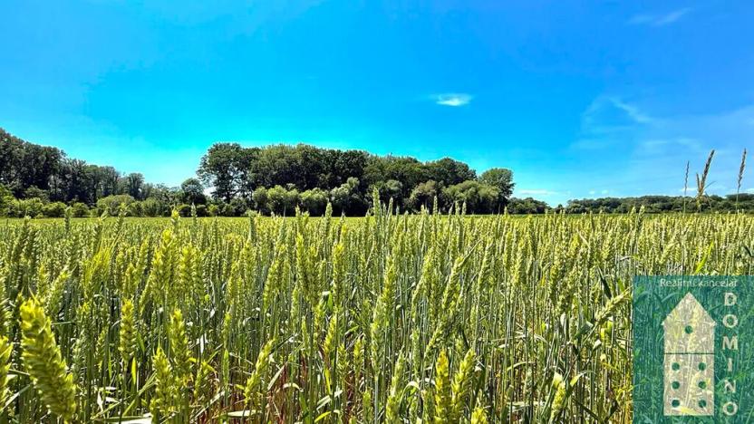 Prodej pozemku pro bydlení, Chropyně, 1061 m2