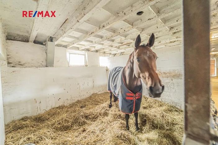 Prodej zemědělské usedlosti, Chlumín, 740 m2