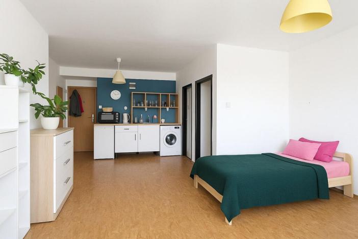 Pronájem bytu 1+kk, Ostrava - Moravská Ostrava, Hornopolní, 16 m2