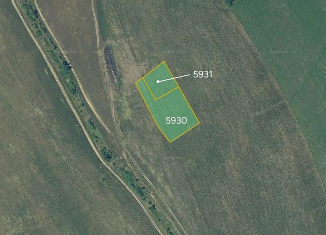 Prodej pole, Stará Turá, Slovensko, 5600 m2