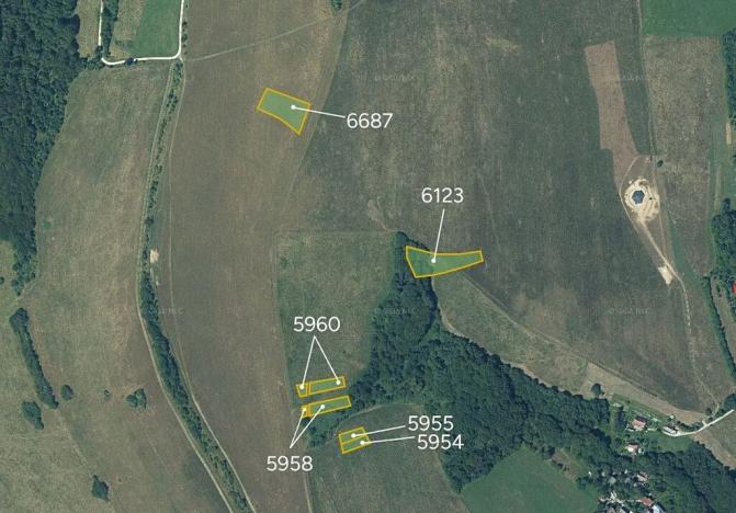 Prodej pole, Stará Turá, Slovensko, 7046 m2