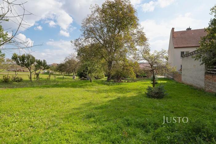 Prodej pozemku pro bydlení, Těmice, 2331 m2