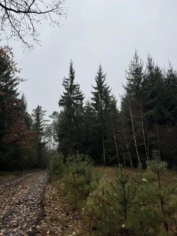 Prodej pozemku, Veliny, 50855 m2