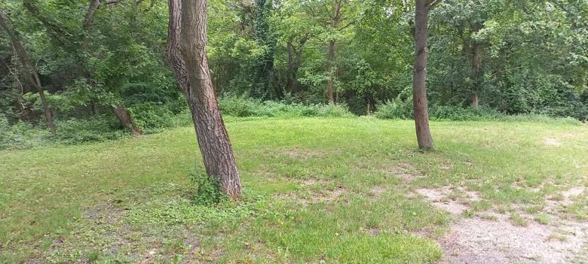 Pronájem zahrady, Horní Beřkovice, 550 m2