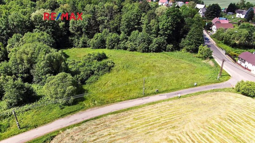 Prodej pozemku pro bydlení, Nový Bor, 2207 m2