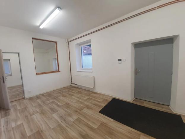 Pronájem výrobních prostor, Bílovice nad Svitavou, Obřanská, 249 m2