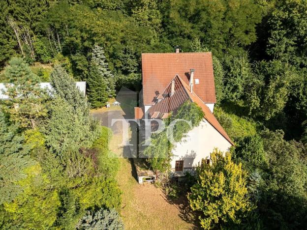 Prodej vícegeneračního domu, Deštnice, 530 m2