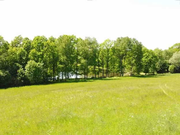 Dražba louky, Šluknov, 1989 m2