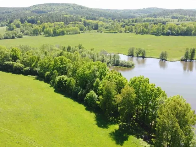 Dražba louky, Šluknov, 1989 m2