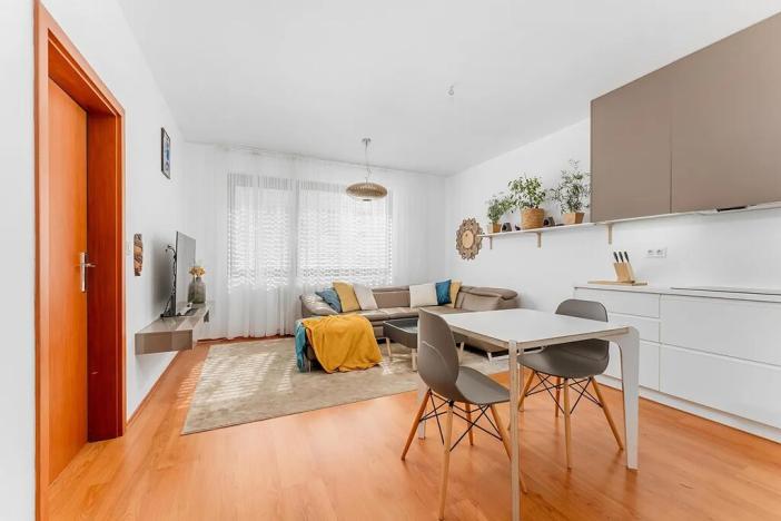 Prodej bytu 2+kk, Brno, Hlinky, 69 m2