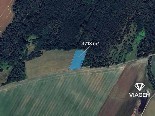 Prodej pole, Velký Borek, 3713 m2