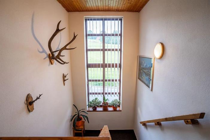 Prodej rodinného domu, Strážné, 450 m2