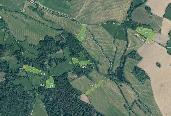 Prodej louky, Soběšice, 111740 m2