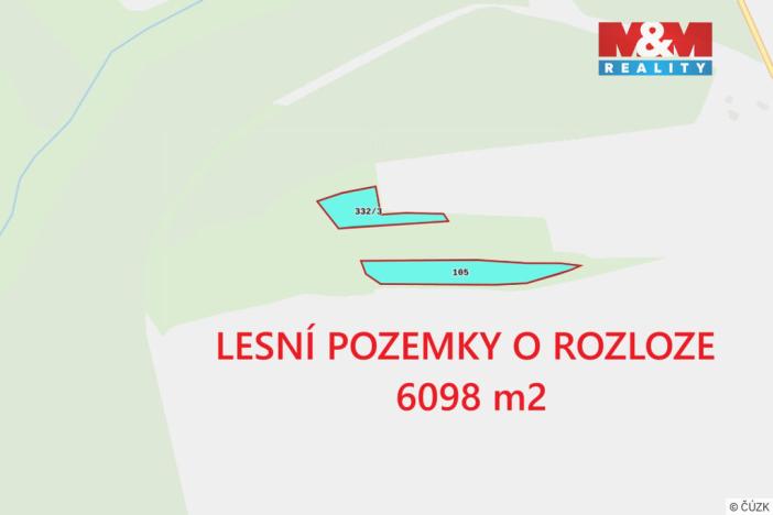 Prodej lesa, Močerady - Nové Dvory, 6098 m2