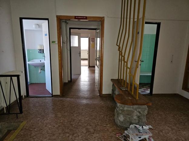 Dražba rodinného domu, Brno, Lipová, 696 m2