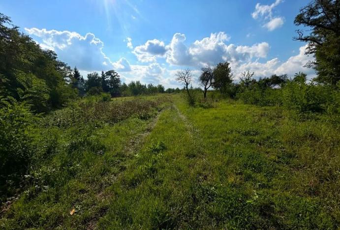 Prodej pozemku pro bydlení, Krušovice, 2750 m2