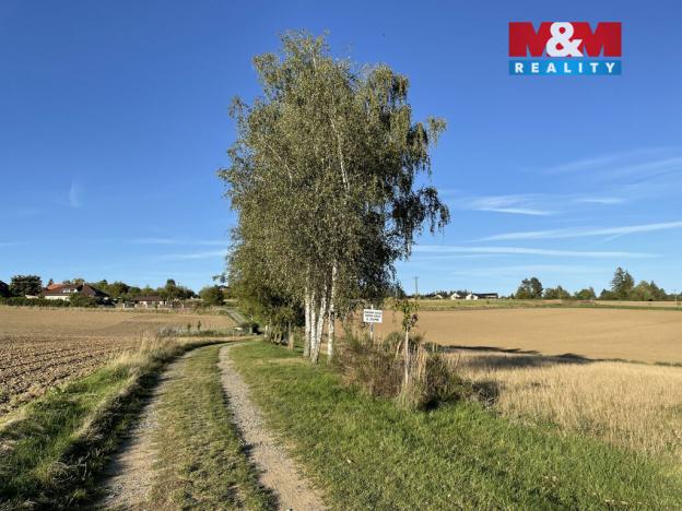 Prodej pole, Struhařov, 5017 m2
