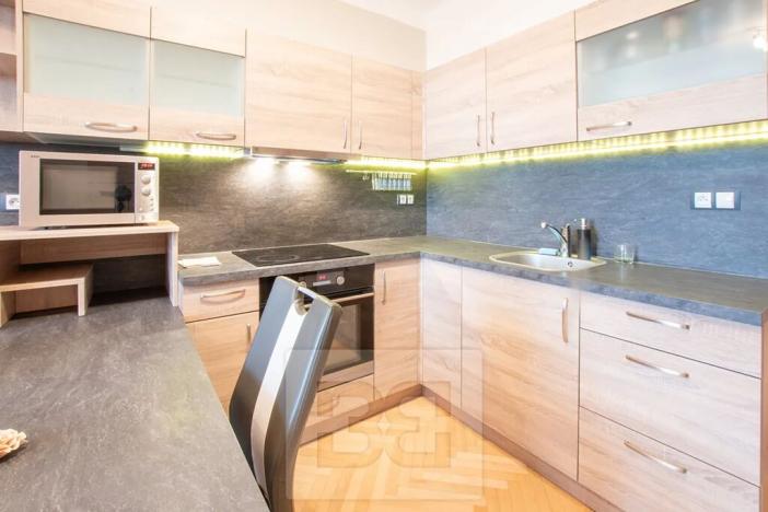 Pronájem bytu 3+kk, Plzeň, Francouzská třída, 52 m2