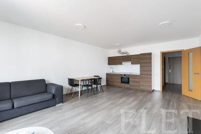 Pronájem bytu 1+kk, Praha - Žižkov, Olgy Havlové, 48 m2