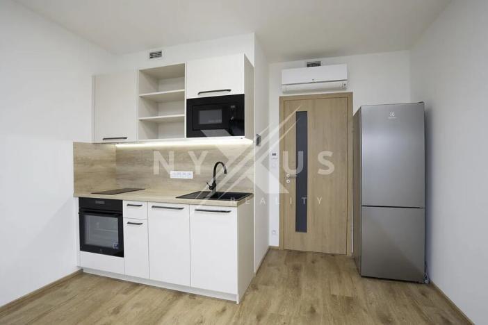 Pronájem bytu 1+kk, Praha - Žižkov, Tetauerova, 30 m2
