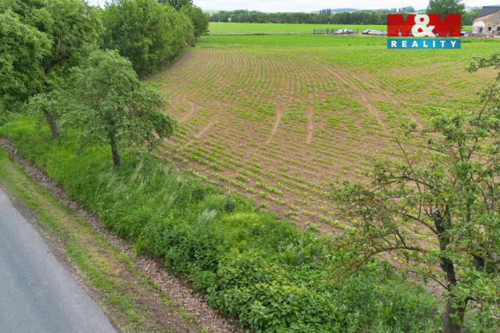 Prodej pozemku pro bydlení, Suchdol - Solopysky, 2006 m2