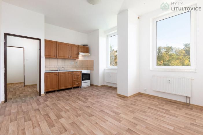 Prodej bytu 1+kk, Litultovice, 28 m2