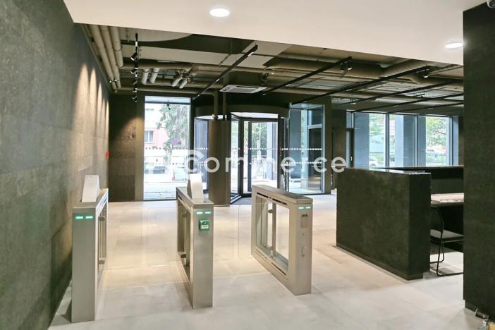 Pronájem kanceláře, Brno, 1733 m2