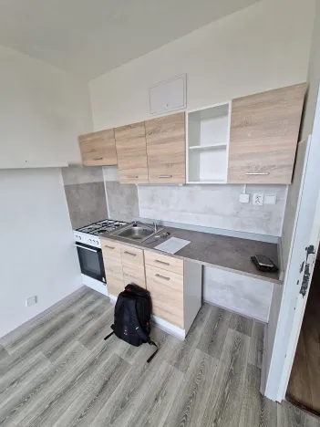 Pronájem bytu 1+1, Chomutov, Dřínovská, 37 m2