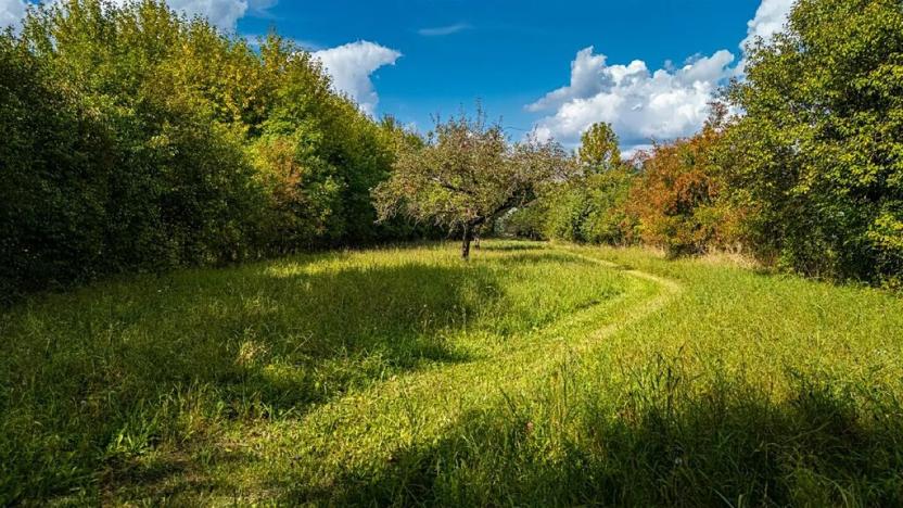 Prodej pozemku pro bydlení, Uhersko, 3765 m2