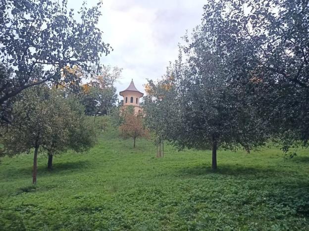 Prodej bytu 3+1, Praha - Košíře, Musílkova, 81 m2