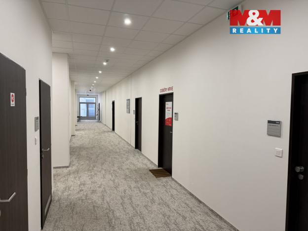 Pronájem obchodního prostoru, Ústí nad Labem - Ústí nad Labem-centrum, Masarykova, 100 m2