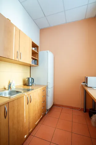 Pronájem kanceláře, Ostrava, Vítkovická, 38 m2