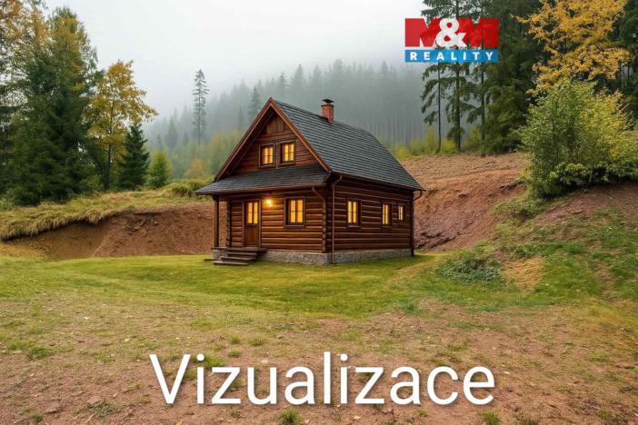 Prodej pozemku pro bydlení, Červená Voda - Horní Orlice, 2024 m2