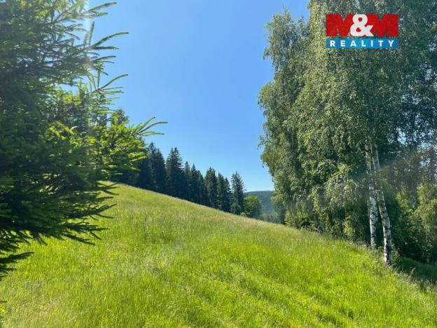 Prodej pole, Spělkov, 25164 m2