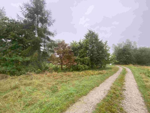 Prodej pozemku, Dolní Bukovsko - Bzí, 588 m2