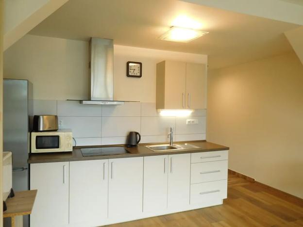 Pronájem bytu 1+kk, Frýdlant nad Ostravicí, Revoluční, 57 m2