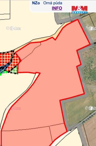 Prodej komerčního pozemku, Tachlovice, 36987 m2