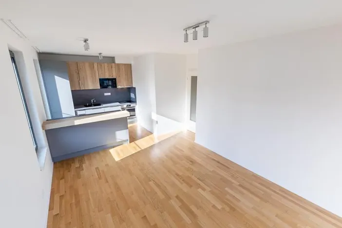 Prodej bytu 3+kk, Praha - Žižkov, Seifertova, 68 m2