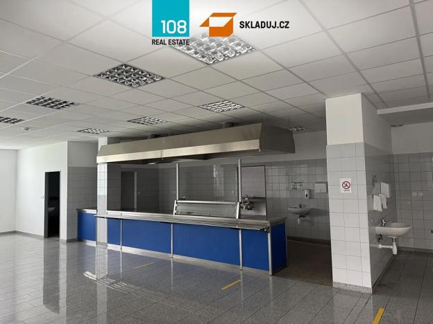 Prodej výrobních prostor, Horka nad Moravou, Družstevní, 10303 m2