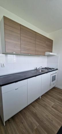 Pronájem bytu 1+1, Ostrava - Hrabůvka, Mjr. Nováka, 38 m2